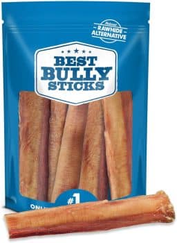  Best Bully Sticks Thick 6 Inch Bully Sticks 