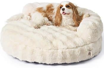  EHEYCIGA Dog Bed Medium Size Dog