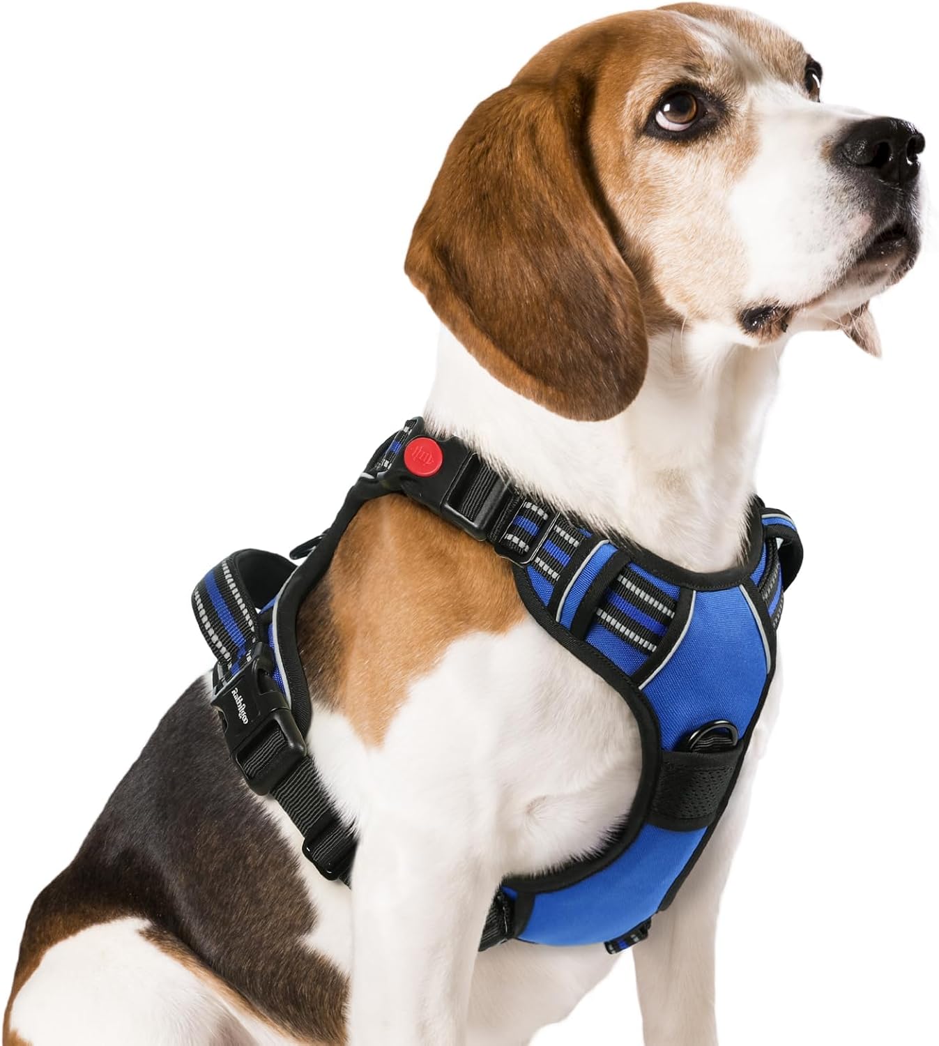 rabbitgoo dog harness