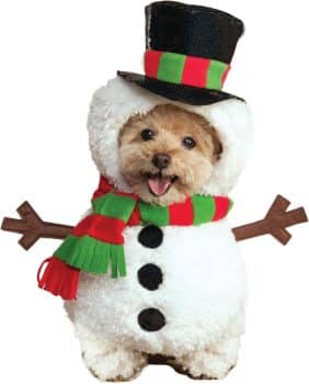 Rubies Walking Snowman Pet Costume