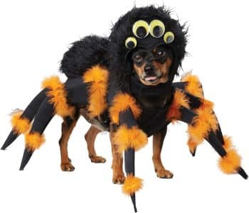 California Costumes, Spider Pup