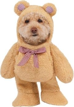 Rubies Walking Teddy Bear Pet Costume 
