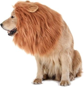TOMSENN® Realistic & Funny Lion Mane 