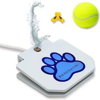 Pet Fit For Life Dog Pedal Water Fountain
