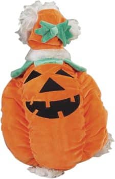 Zack & Zoey Pumpkin Pooch Dog Costume