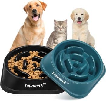  2 Pack Slow Feeder Dog Bowls for Healthy Eating