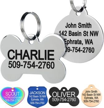 GoTags Stainless Steel Pet ID Tags,
