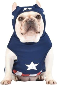 Marvel Legends Captain America Dog Costume