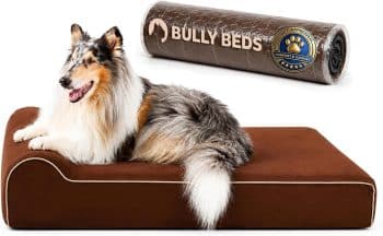Bully Beds Orthopedic Dog Bed