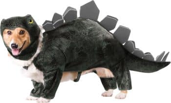Stegosurus Dog Costume