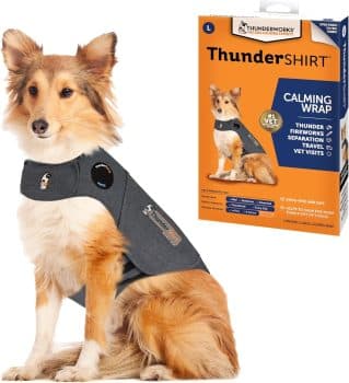 ThunderShirt for Dogs, Large, Heather Gray Classic 