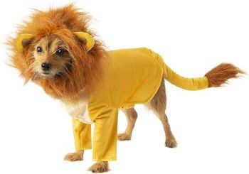 Disney Lion King: Simba Pet Costume