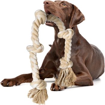 Fida Dog Rope Toys