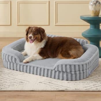 
LE SURE Cute Cozy High Back Orthopedic Dog Beds