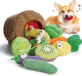 Nocciola Squeaky Fruits Veggies Stuffed Dog Toys