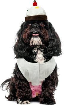 Rubies Cupcake Pet Costume for Dogs or Cats