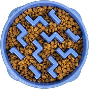 Outward Hound Fun Feeder Slo Bowl 