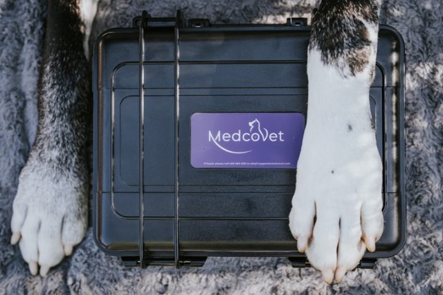 A pair of white and brindle dog paws lays across the top of a MedcoVet Luma box.