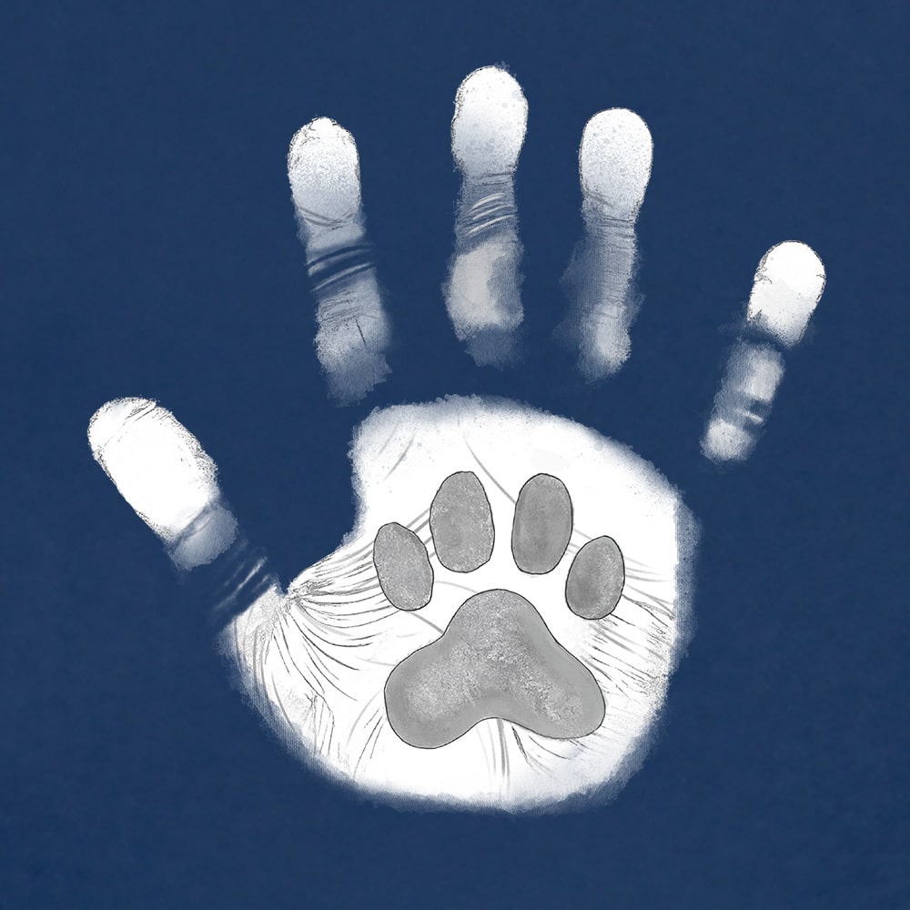 Secondary Product Image