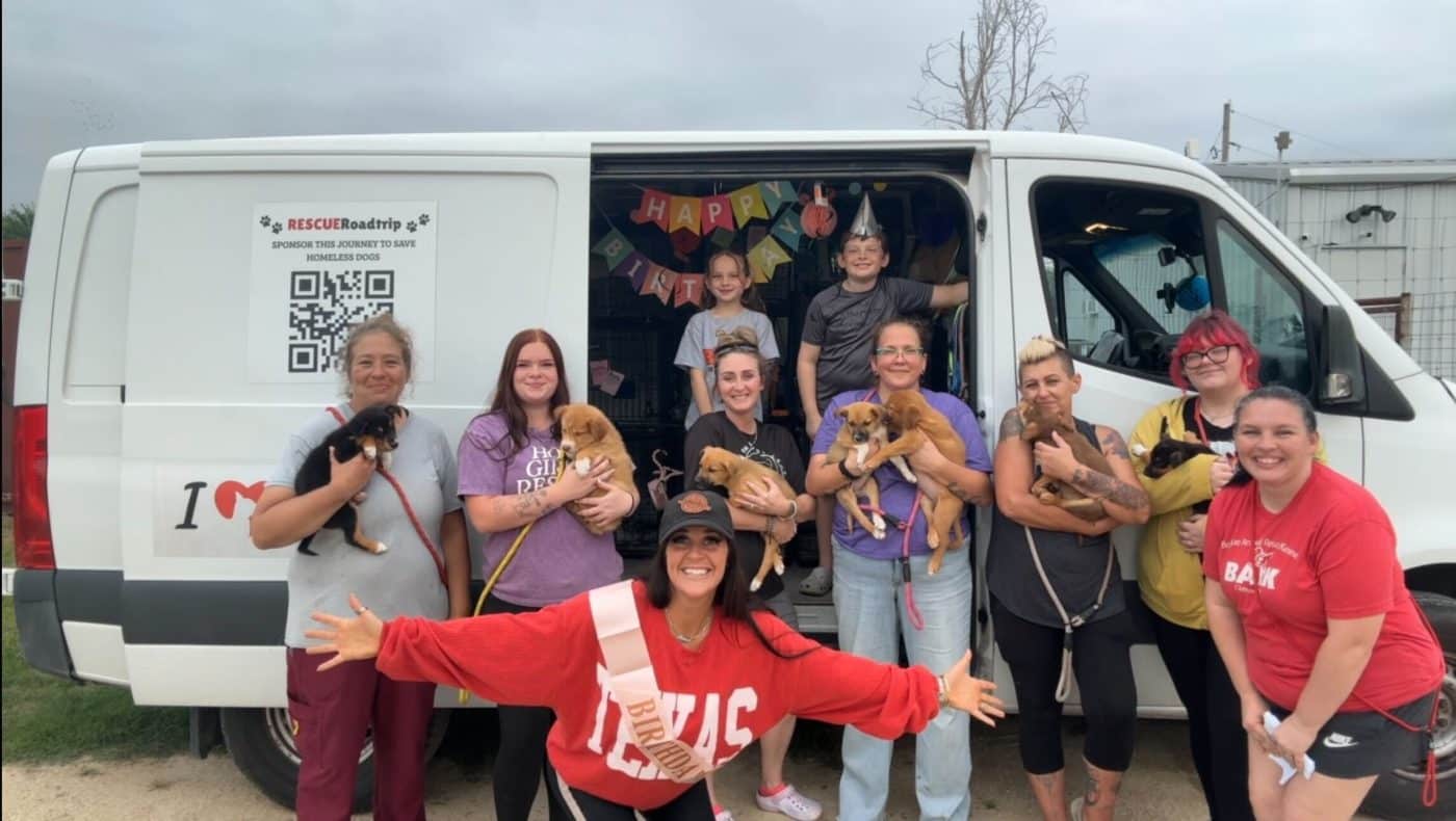 Hero VIP Club Fueled This Heartwarming Journey From Texas Shelters To Forever Homes