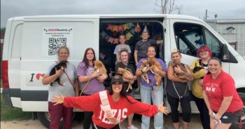 PetWireDaily — Hero VIP Club Fueled This Heartwarming Journey From Texas Shelters To Forever Homes
