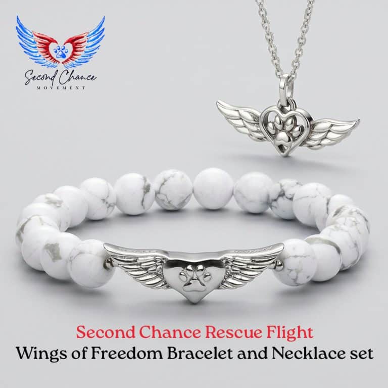 Second Chance Movement! Wings of Freedom Necklace and Bracelet Set
