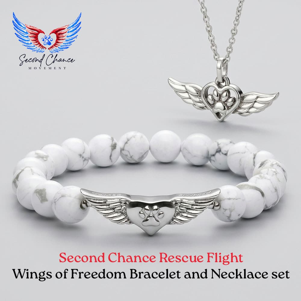 Second Chance Movement! Wings of Freedom Necklace and Bracelet Set