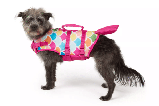 A shaggy black dog wearing a pink mermaid life vest from Petsmart