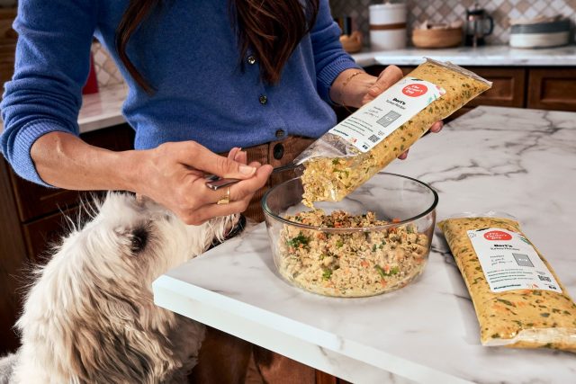 A white and gray longhaired dog sniffs eagerly at a woman's hands as she dishes out fresh dog food from The Farmer's Dog.