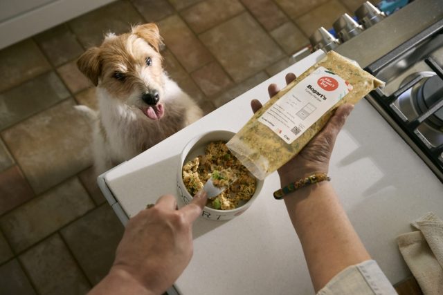A small tan and white scruffy dog stands with its paws on the counter, watching as a man dishes out The Farmer's Dog fresh dog food.