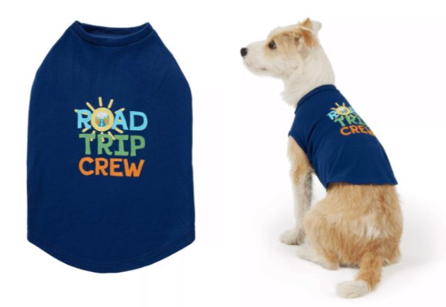 A tan and white dog wears a navy blue t-shirt from Petsmart with "Road Trip Crew" and a sun with beams for the "O" 
