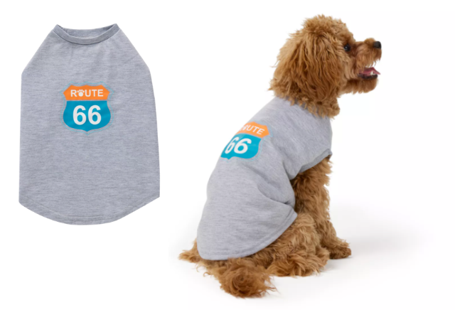 A brown poodle wears a grey t-shirt from Petsmart with a blue and orange Route 66 sign on the back