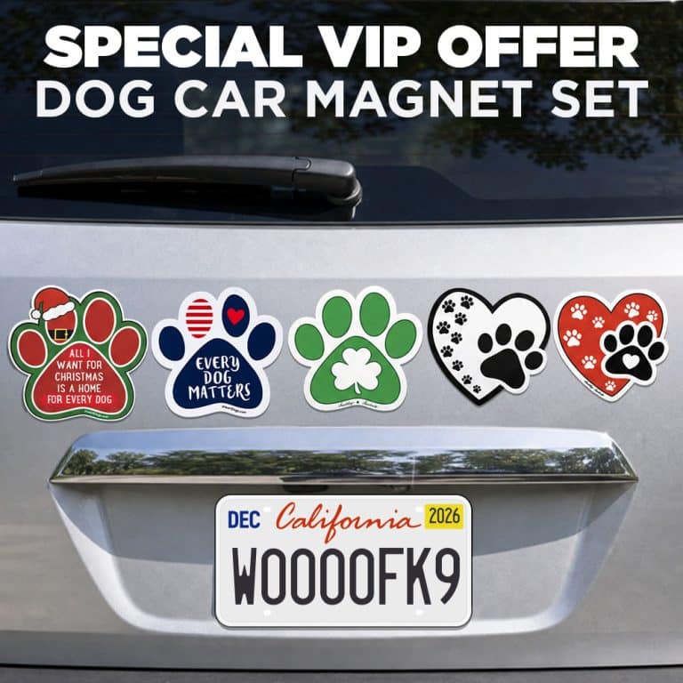 VIP SUPER DEAL! Dogs Magnet Set of 5 - Helps Feed Hungry Dogs in Need