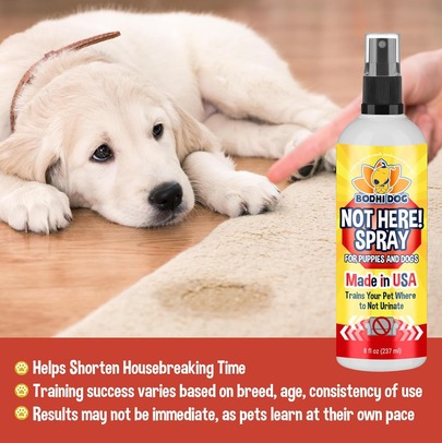 Bodhi Dog Not Here Spray for Dogs