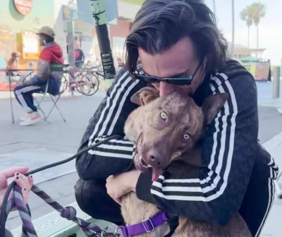 Ivy meeting her new family