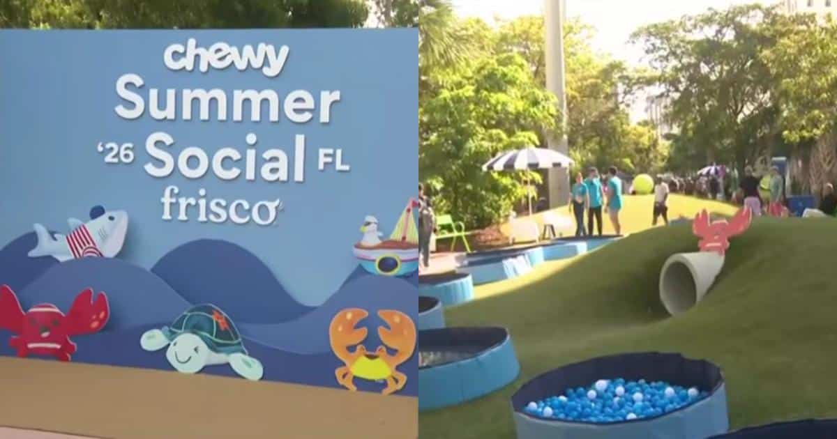 Hundreds of Dogs Make a Splash at Record-Breaking Pool Party
