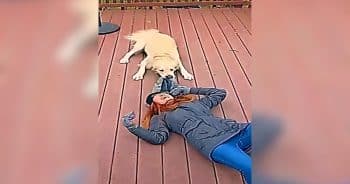 PetWireDaily — Doorbell Camera Captures the Sweetest Moment Between Woman and Her Dog