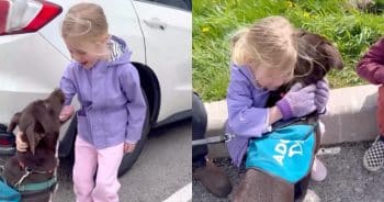 PetWireDaily — Shelter Dog Has Sweetest Reaction When Little Girl Returns To Adopt Her