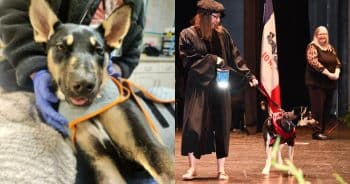PetWireDaily — Dog Saved by Vet Students Makes Surprise Appearance at Graduation