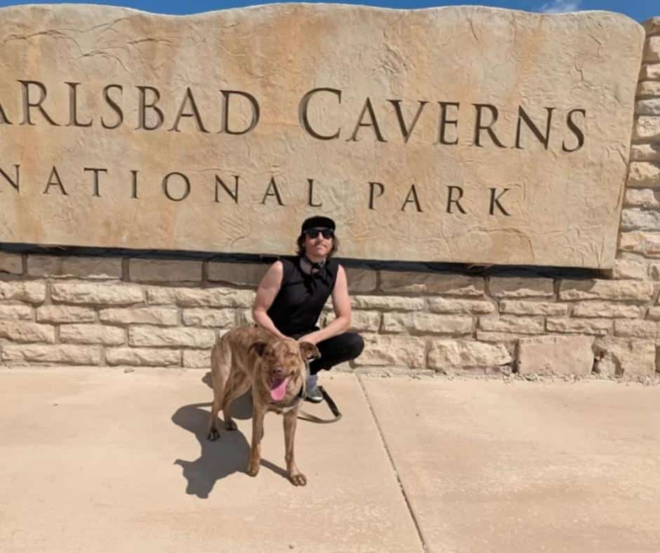 Ivy with her new family on a road trip