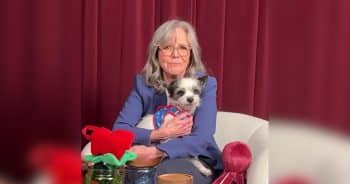 PetWireDaily — Sally Field and Lewis Pullman Have Sweet Moment With Senior Rescue Dog