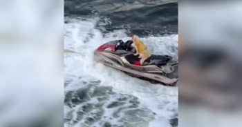 PetWireDaily — Dog Goes Viral After Being Spotted Riding a Jet Ski While Dad Hoverboards