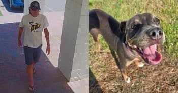 PetWireDaily — Shelter Dog Taken From Adoption Center, Humane Society Asks for Help