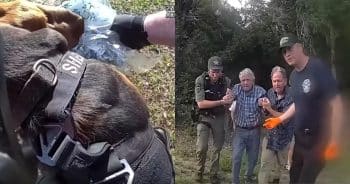 PetWireDaily — “Good Boy” K-9 Rescues Missing 96-Year-Old Man From Woods