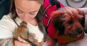 Anna and her beloved dog Sterling