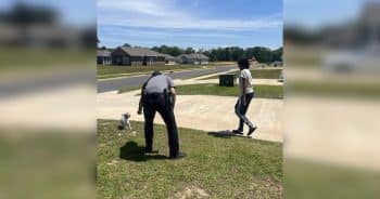 PetWireDaily — Dog Refuses to Go Home, Until Deputies Bring Out the French Fries