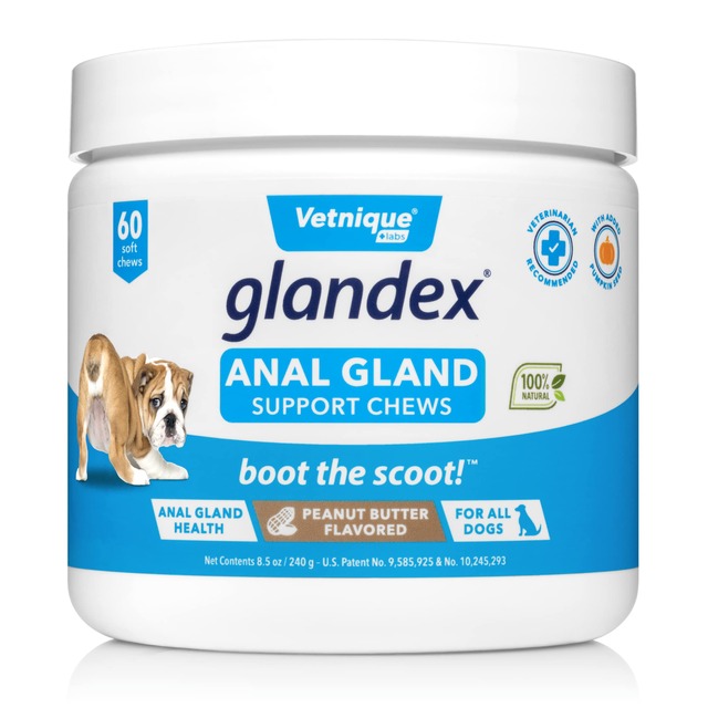 Glandex Anal Gland Soft Chew Treats with Pumpkin for Dogs 60 count package