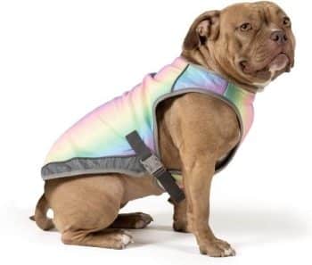 Canada Pooch Cooling Dog Vest, Rainbow,