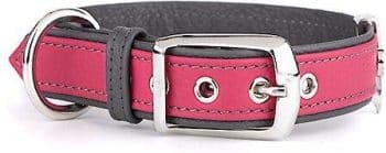 myfamily Firenze Genuine Italian Leather Dog Collar,