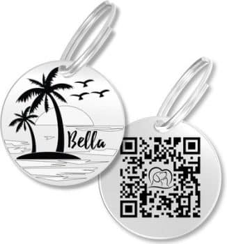 PawFurEver Personalized Engraved with QR Code Dog & Cat Tag